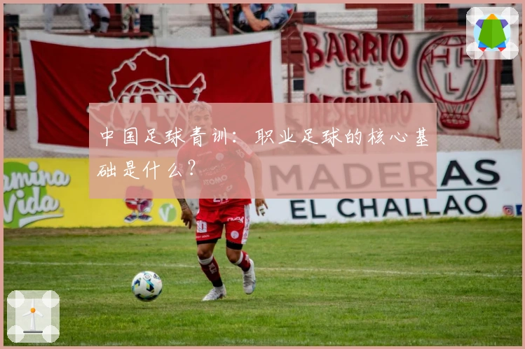 中国足球青训：职业足球的核心基础是什么？
