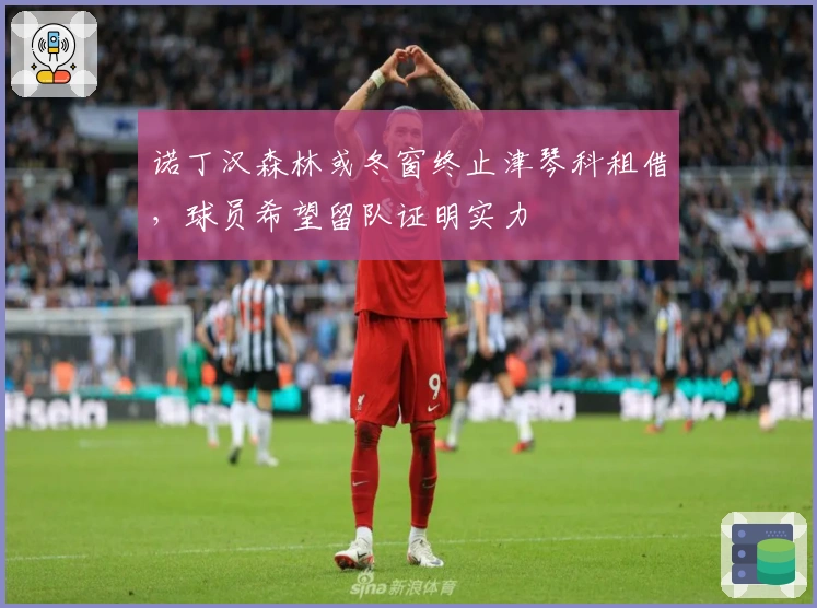 诺丁汉森林或冬窗终止津琴科租借，球员希望留队证明实力